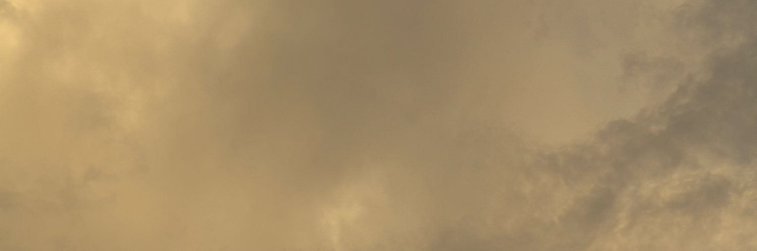 mari_panda's profile banner image