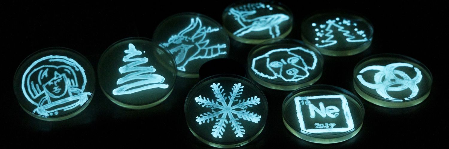 Michelle Williams banner