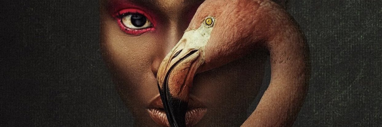 gOttay's profile banner image