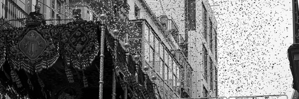 Marta Castaño banner