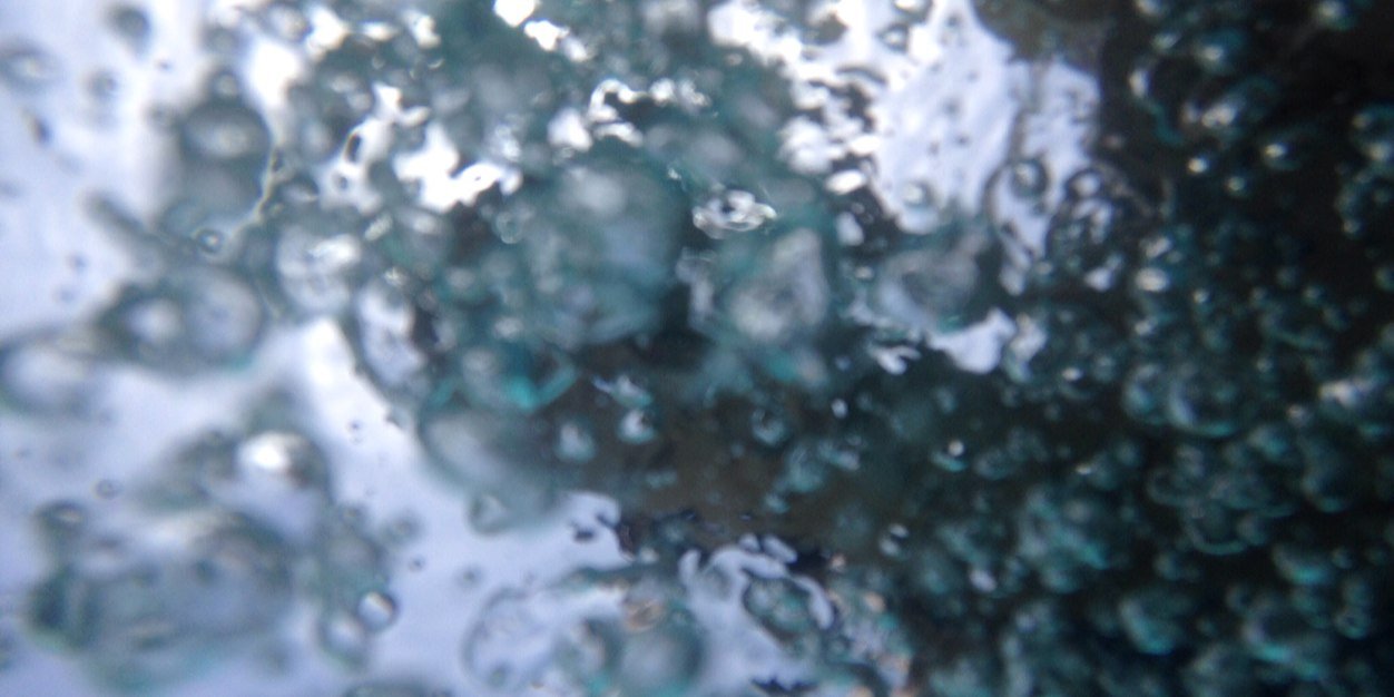 Maddy_Bloch's profile banner image