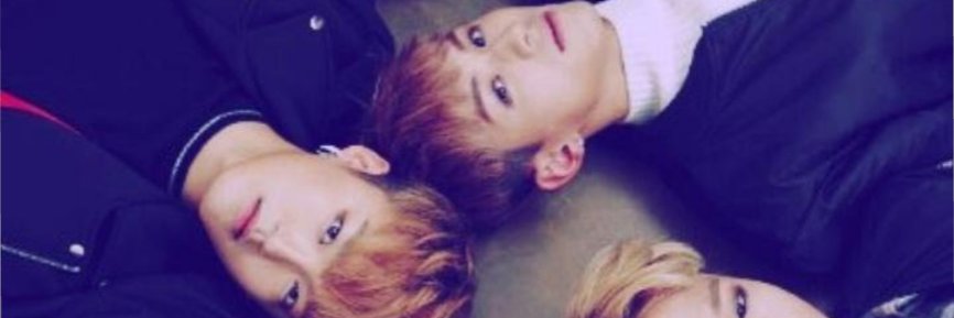 FlyMFectBrazil's profile banner image