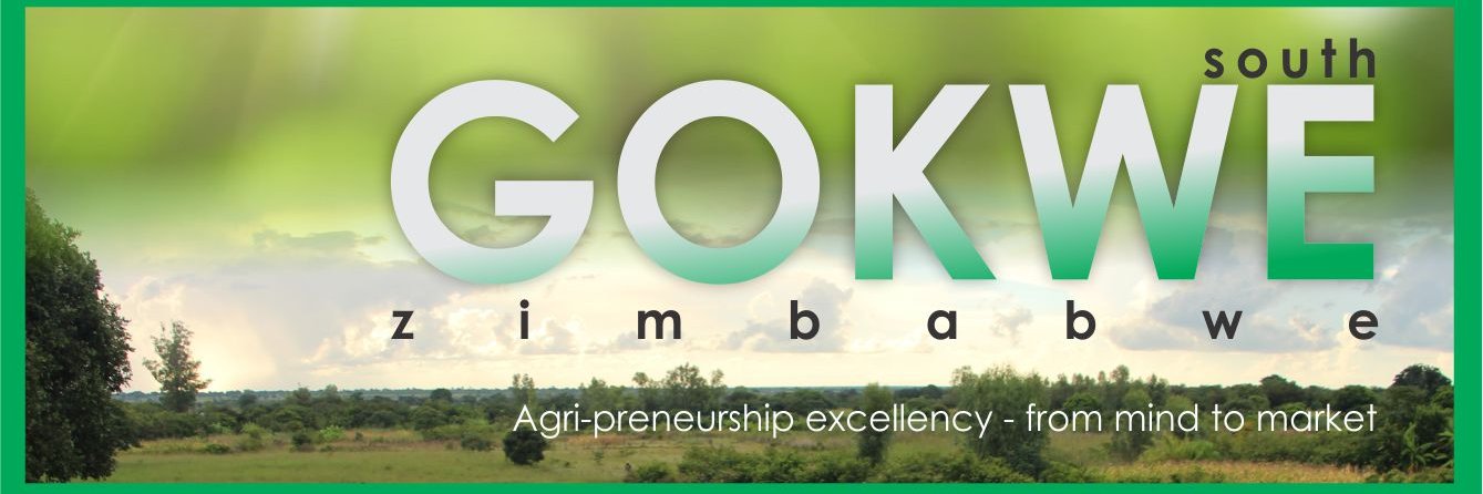 ABC_Gokwe banner