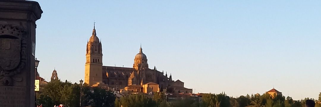 carmenmeig's profile banner image
