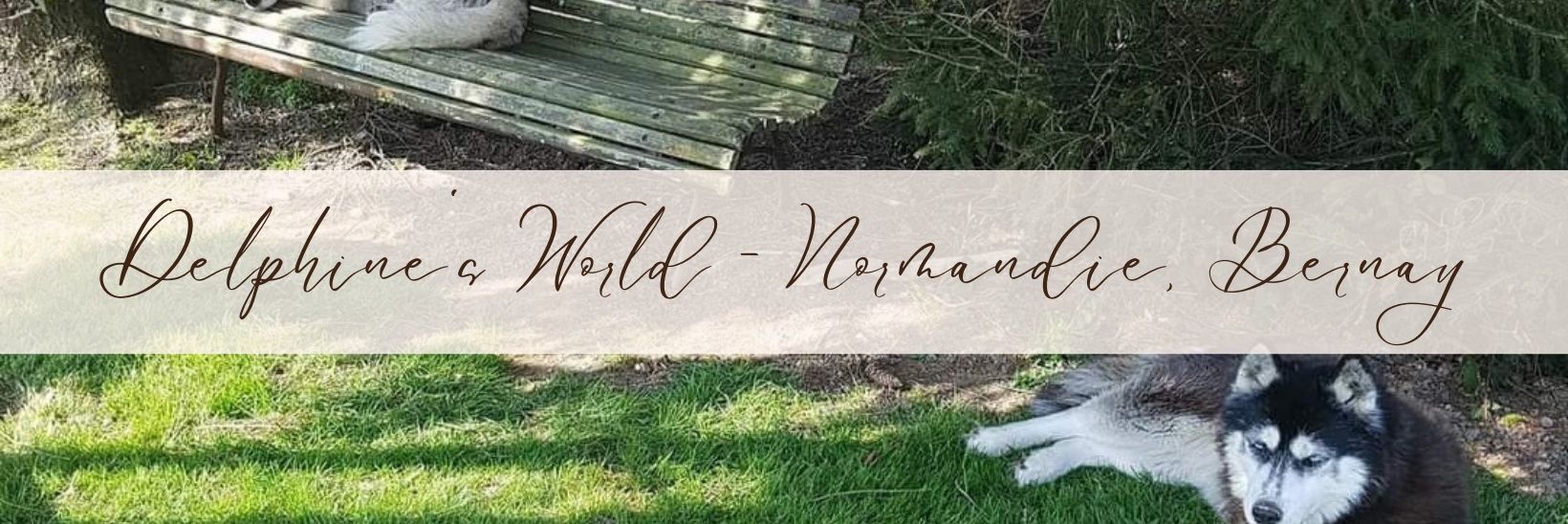 WorldDelphine's profile banner image