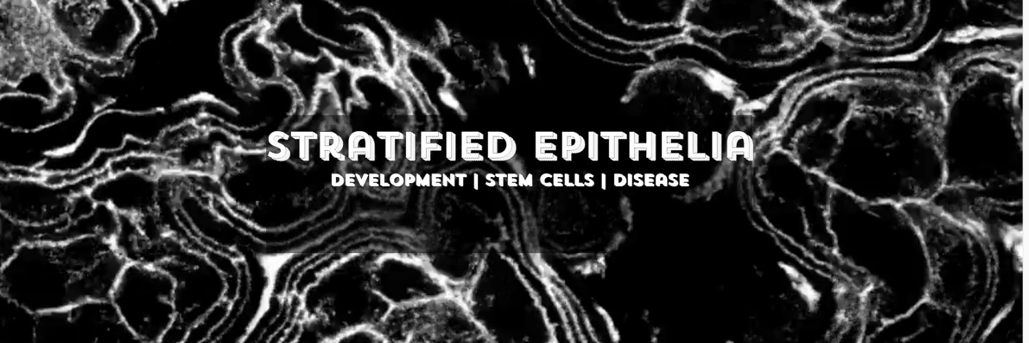 Scott Williams Lab @ UNC banner