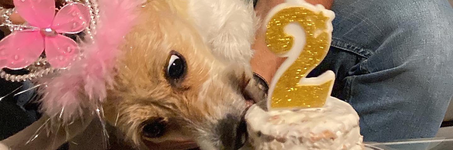 nxtyrqueen's profile banner image