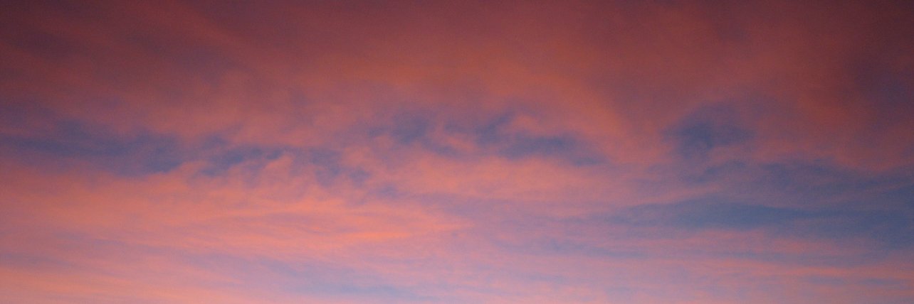 Dianna Amick🐱🐕🌸🦋🐝🐞 banner