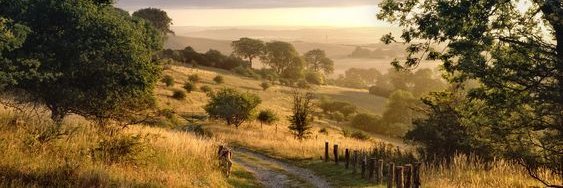 Playground of the Stars banner