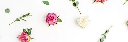 MiamiAudrey's profile banner image