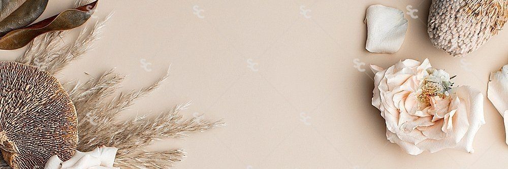 Egaaloo's profile banner image