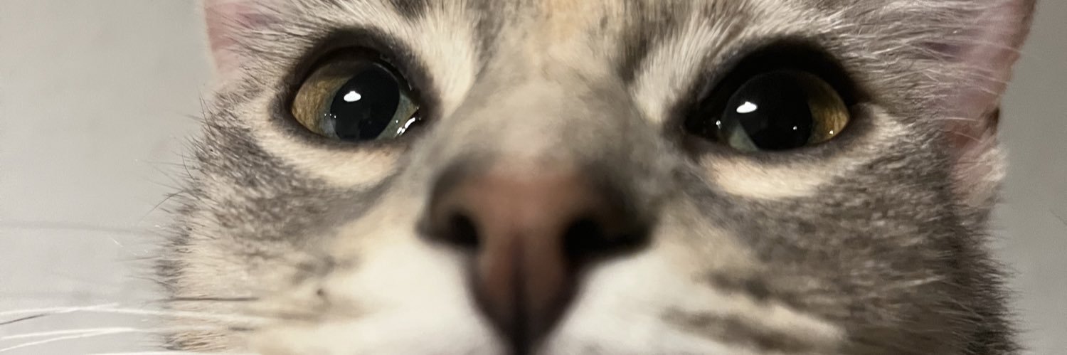 Fadel Miaou🇵🇸 banner