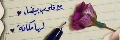 قائده بلا منصب banner