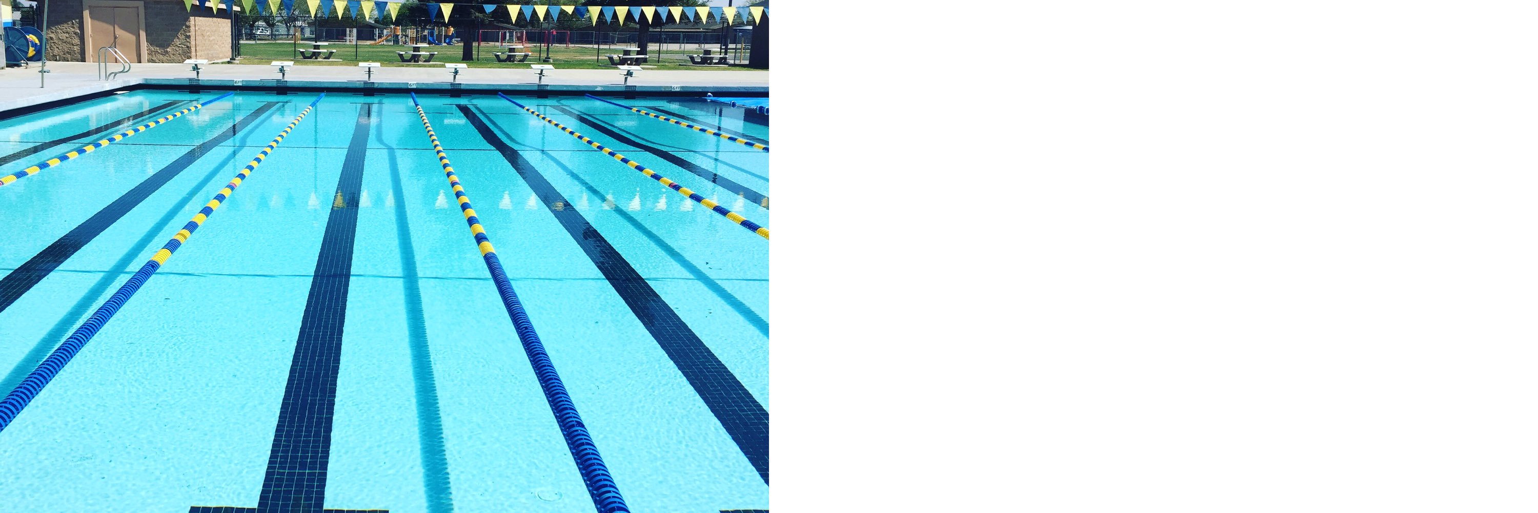 Shafter_Swim's profile banner image