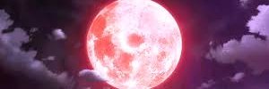 sung__moon's profile banner image