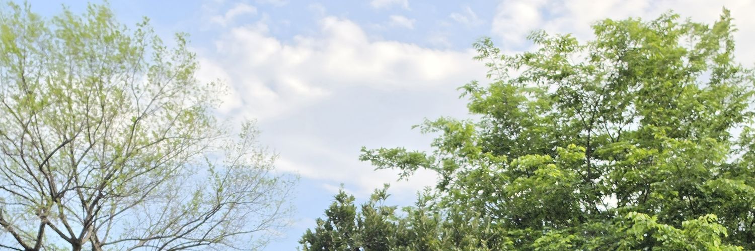 mojashima's profile banner image