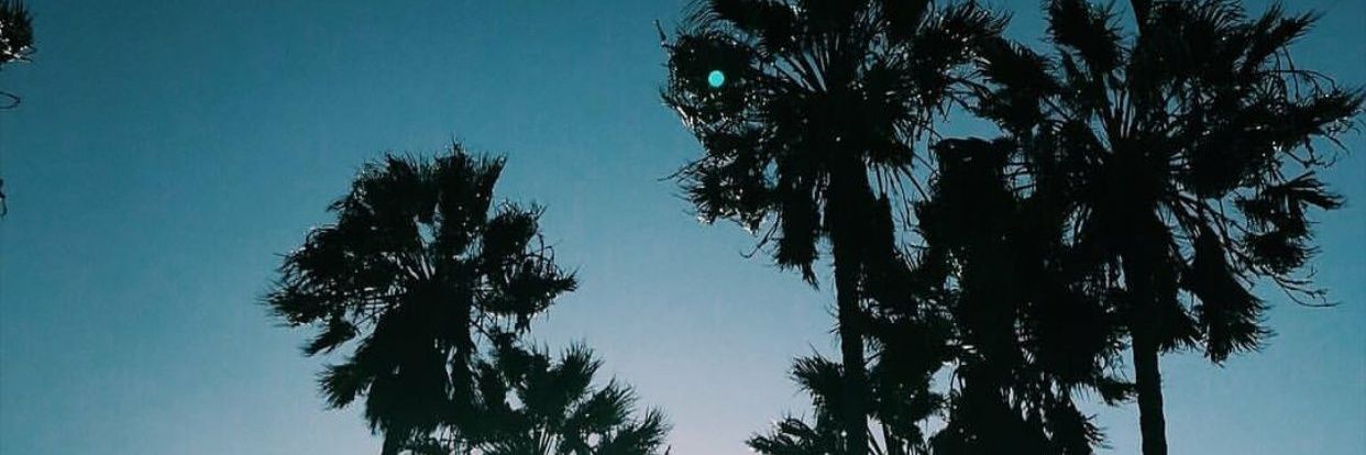 nesdumy's profile banner image