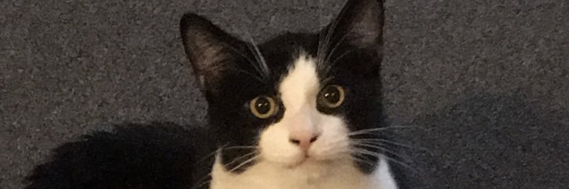 tbevan14's profile banner image