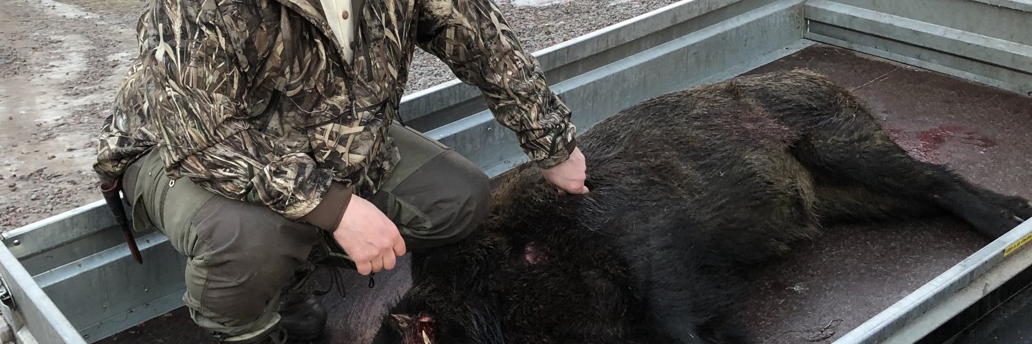 torgny eriksson banner