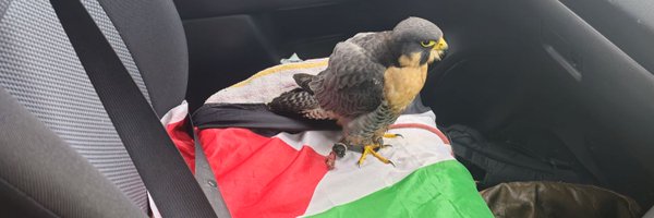 M0sstr00per Profile Banner