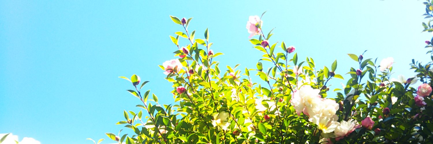 CHIHIROCKstar's profile banner image
