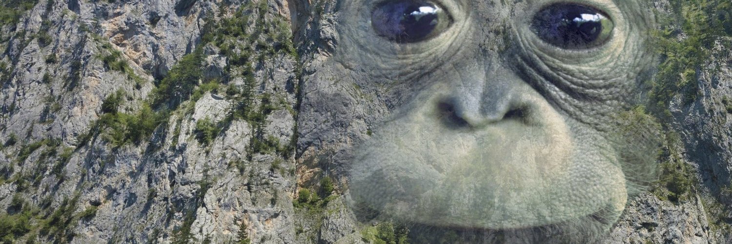 TheMorgster_'s profile banner image