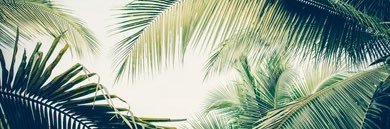 Faruk6192's profile banner image