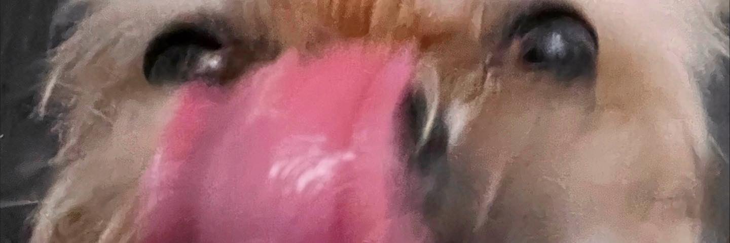 GRIMESLUVRR's profile banner image