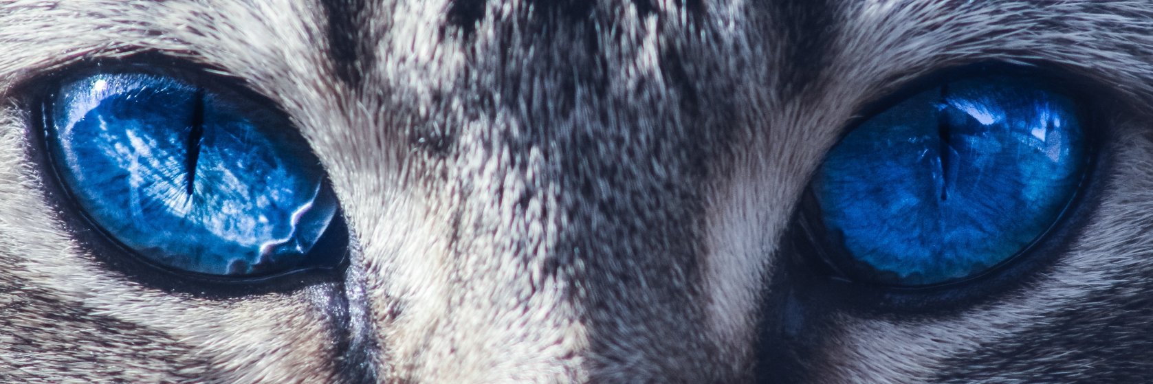 AirDroPebune's profile banner image