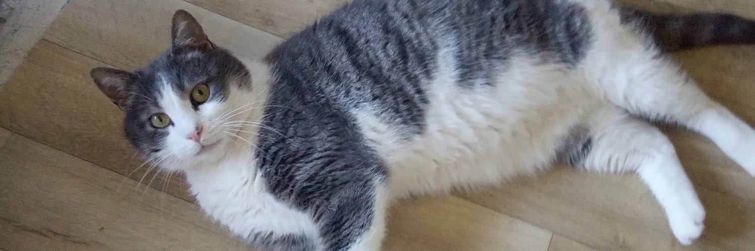 Assist-à-chats banner