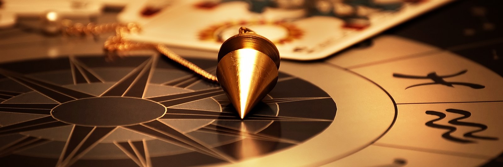 The Meta Expo banner