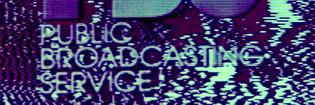 Blue_Safari banner