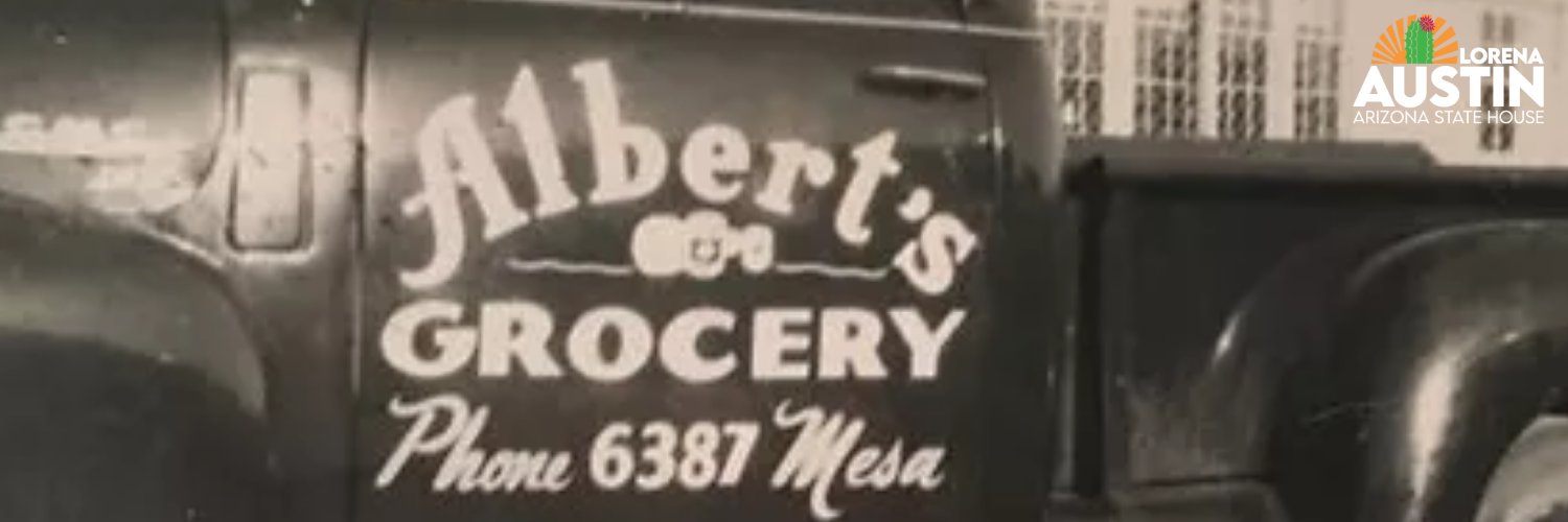 Representative Lorena Austin banner