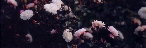 CalibukA's profile banner image