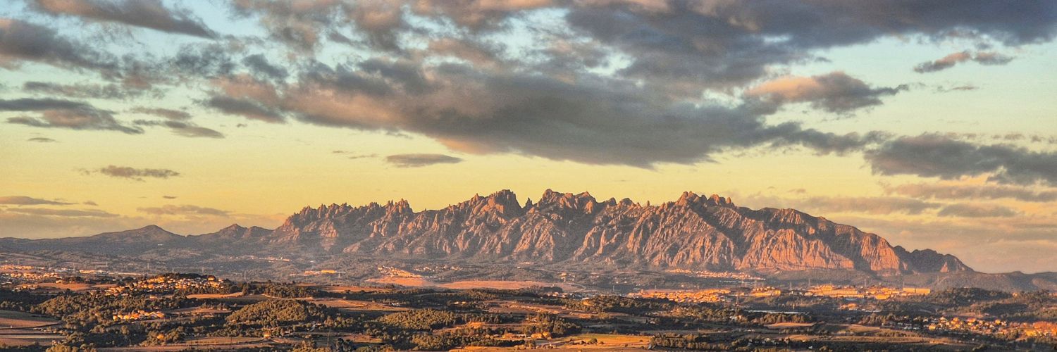 ToniLinC's profile banner image
