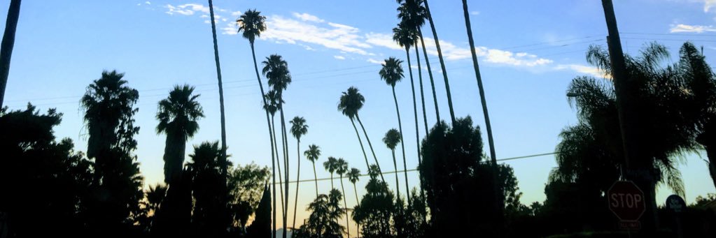 Christofk Lab banner