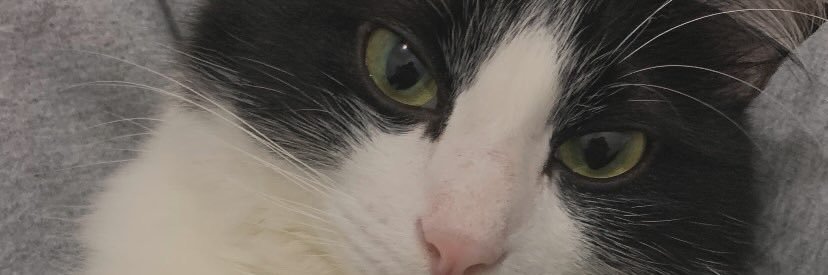 dlaarii's profile banner image