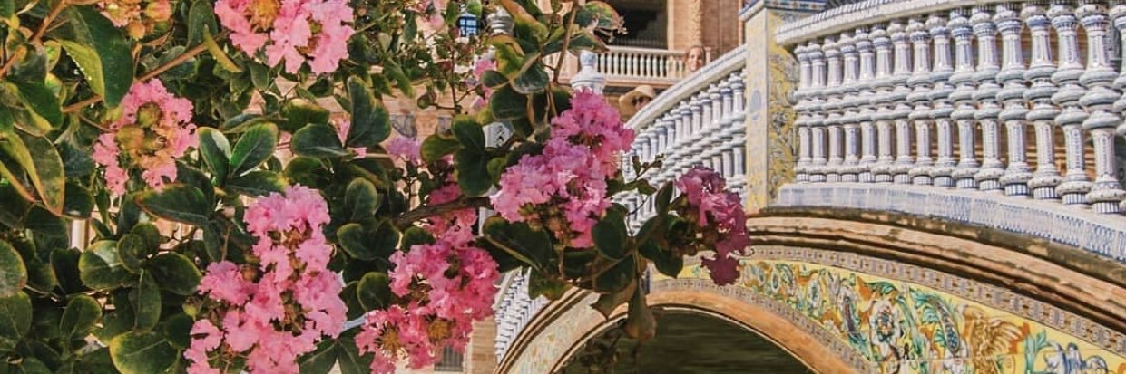 SchettinoTeffi's profile banner image