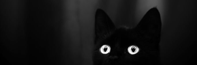 tstefulsideboob's profile banner image