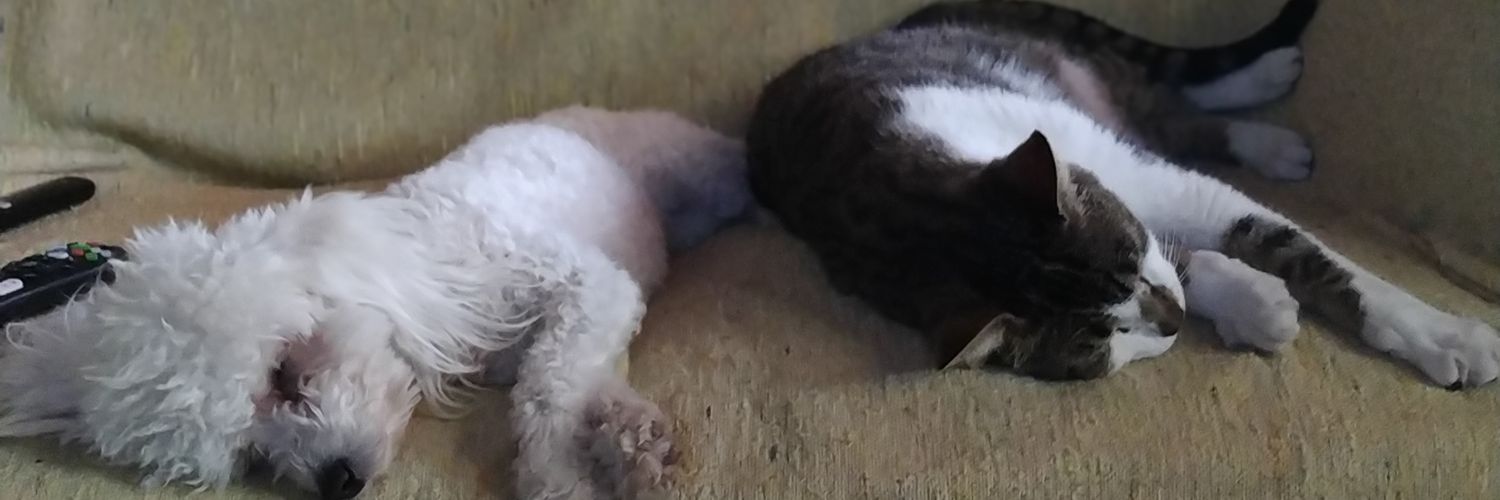 ViickyObrien's profile banner image