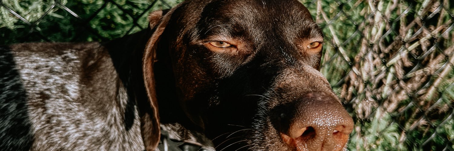 mariemesserr's profile banner image