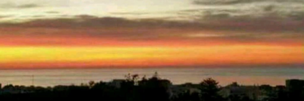 Javier Requena banner