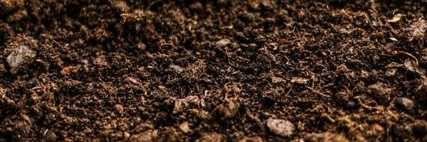 MirenCZ Profile Banner