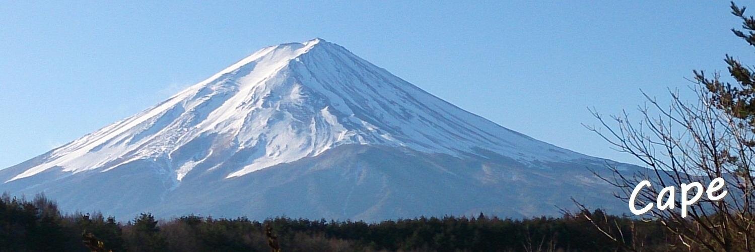 CapeForest's profile banner image