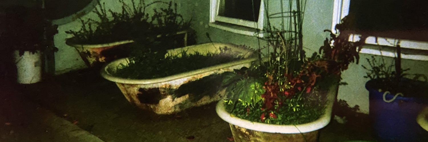 marcosvrgs1's profile banner image