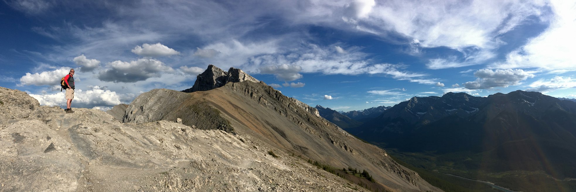 Daily Climate banner