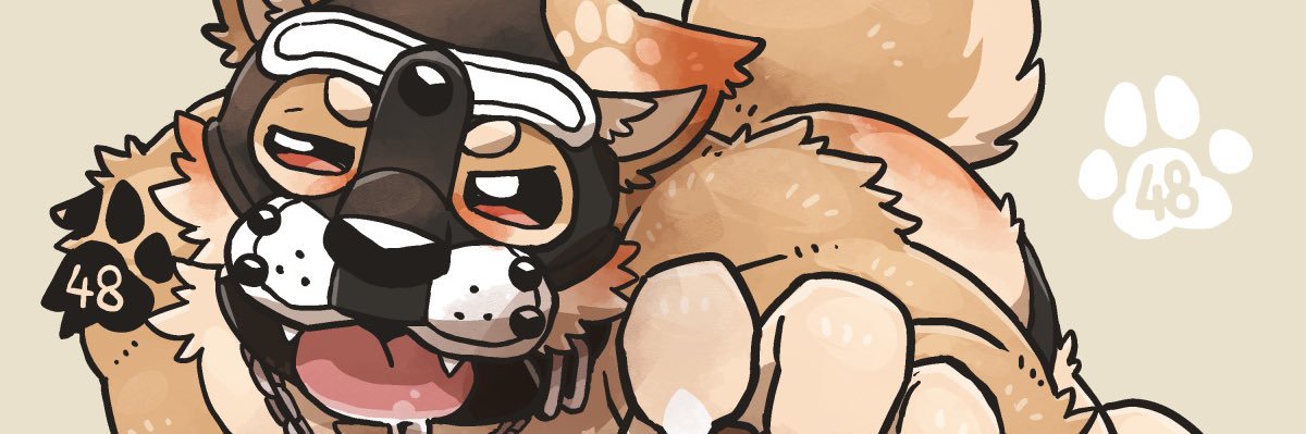 shibasemi's profile banner image