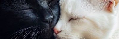 ; banner