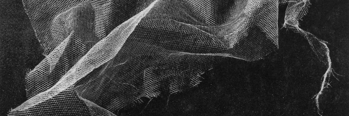erin 𓆱's banner
