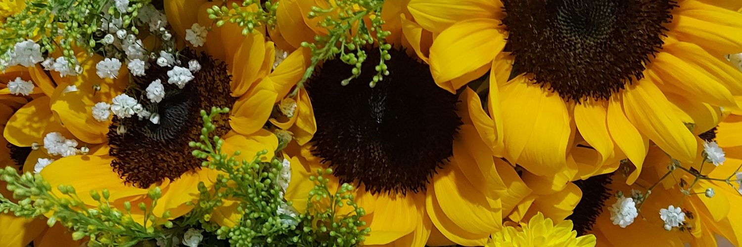 BBB24H's profile banner image